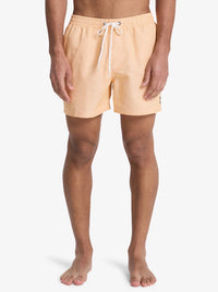 Costumi Striped Quicksilver