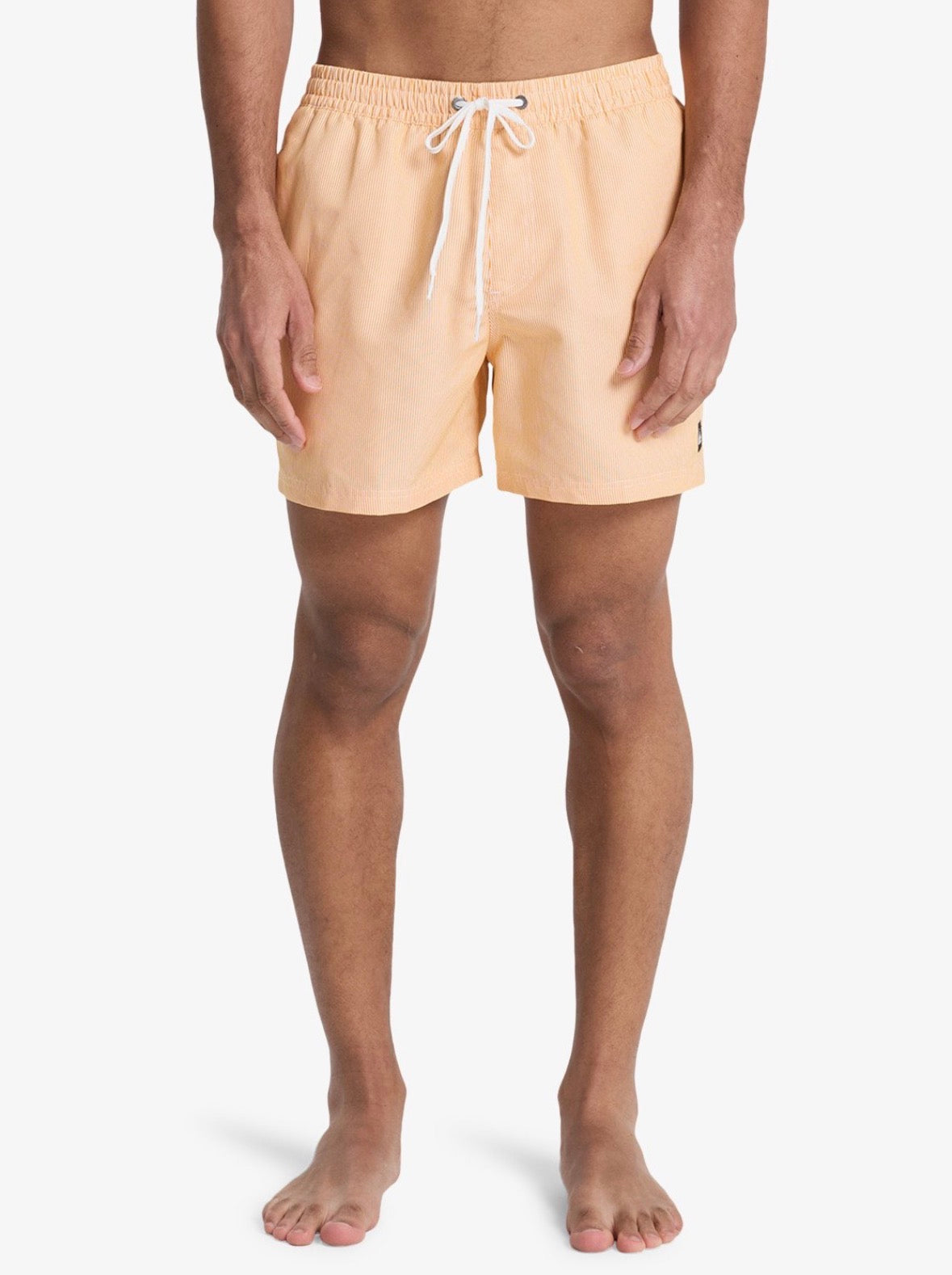 Costumi Striped Quicksilver
