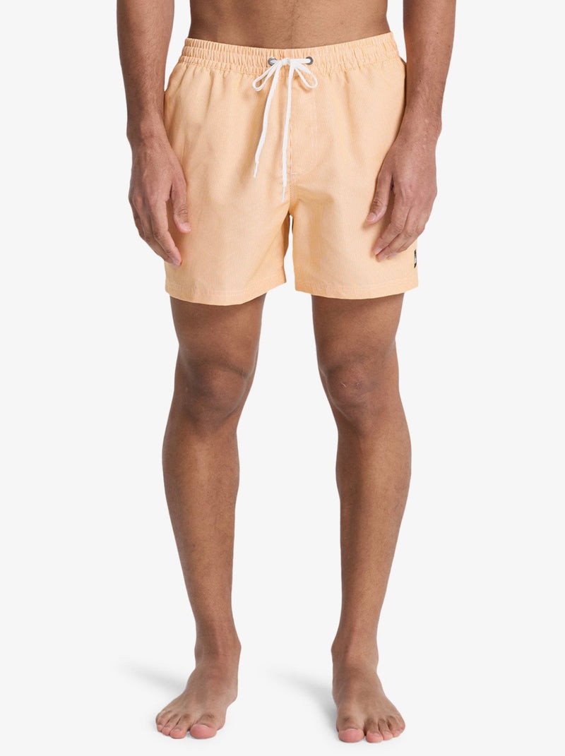 Costumi Striped Quicksilver