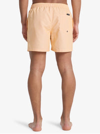 Costumi Striped Quicksilver