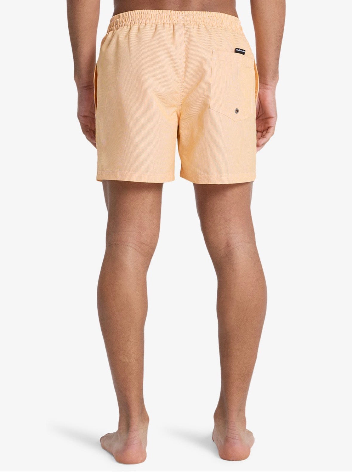 Costumi Striped Quicksilver