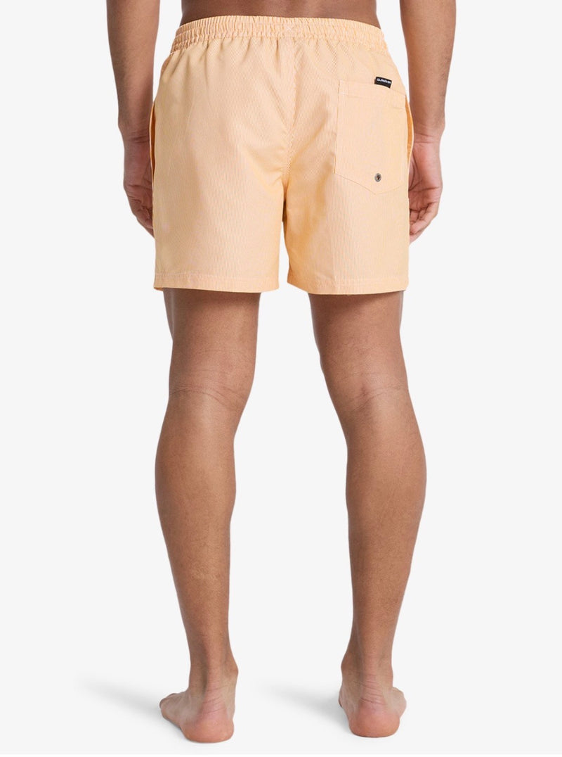 Costumi Striped Quicksilver