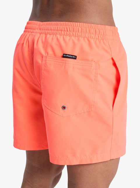 Costumi Quicksilver