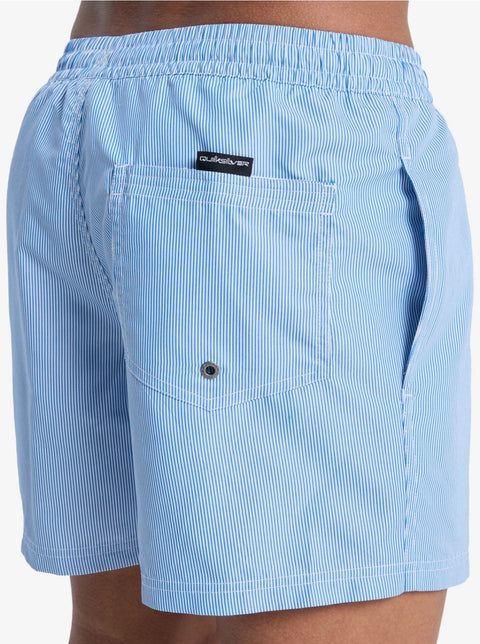 Costumi Striped Quicksilver