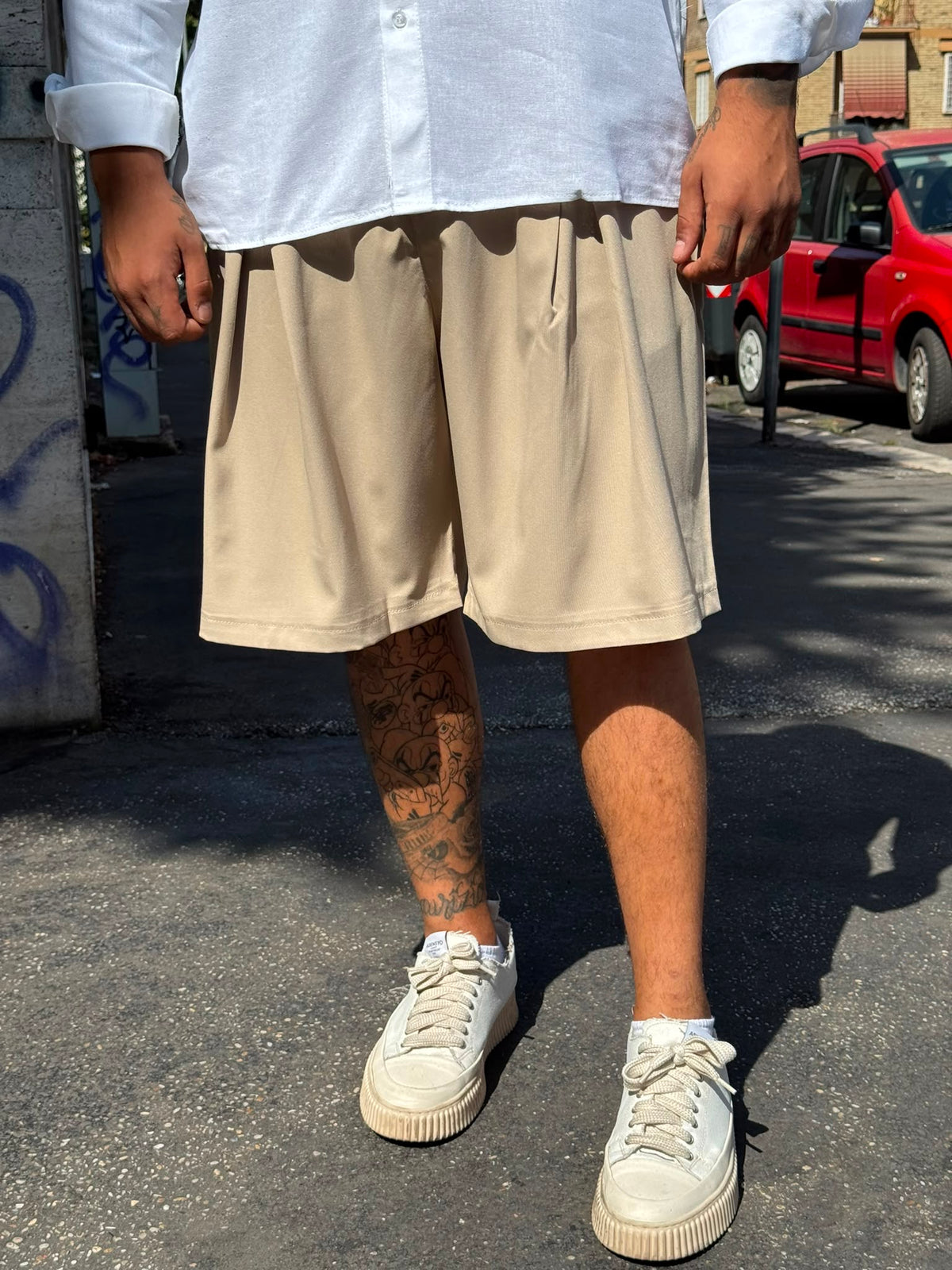 Bermuda Vision TB