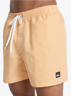 Costumi Striped Quicksilver