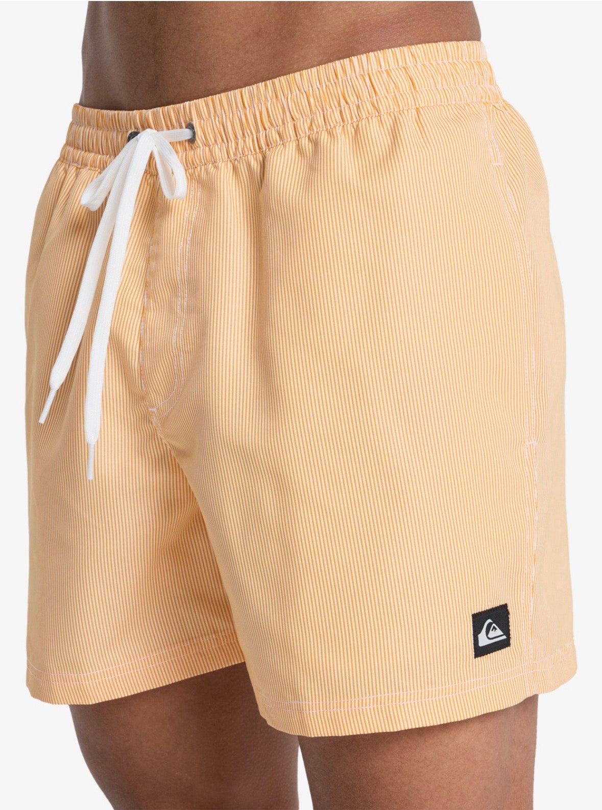 Costumi Striped Quicksilver