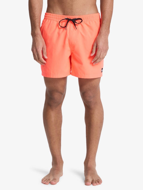 Costumi Quicksilver