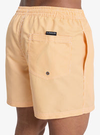 Costumi Striped Quicksilver