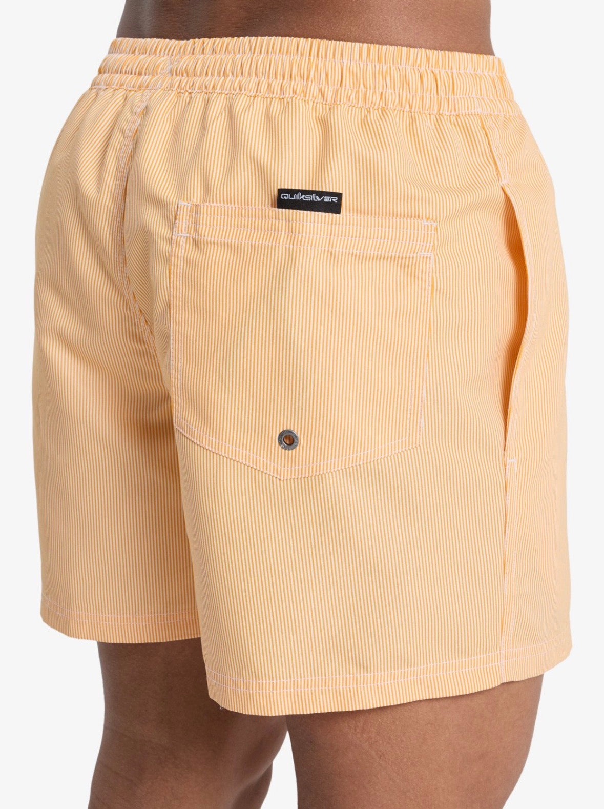 Costumi Striped Quicksilver